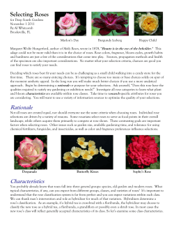Selecting Roses for Deep South Gardens (Whitcomb)