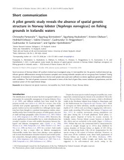 A pilot genetic study reveals the absence of spatial genetic structure