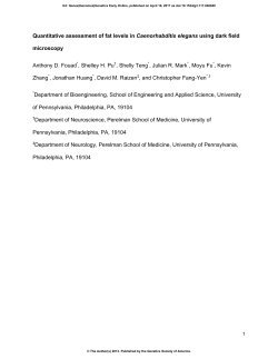 Quantitative Assessment of Fat Levels in Caenorhabditis elegans