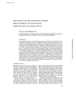 the effect of the electron-opaque pore material on exchanges