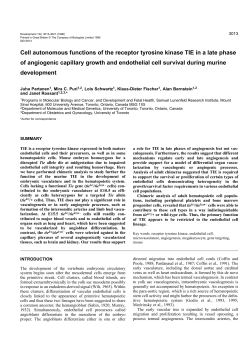 Cell autonomous functions of the receptor tyrosine