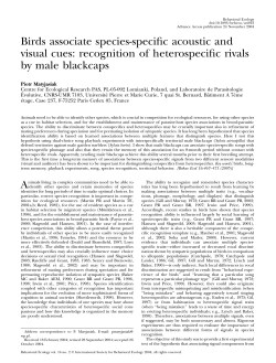 Birds associate species-specific acoustic and visual cues