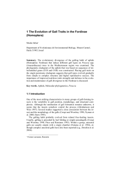 1 The Evolution of Gall Traits in the Fordinae (Homoptera)