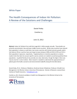 The Health Consequences of Indoor Air Pollution: A Review of the