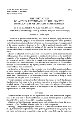 the initiation of action potentials in the somatic musculature of