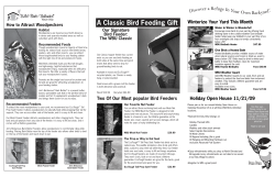 A Classic Bird Feeding Gift