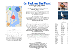 Backyard Bird Count - Vashon Nature Center