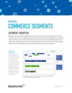 commerce segments