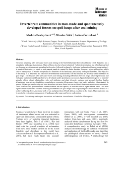 as a PDF
