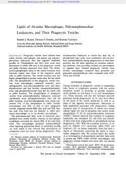 Lipids of Alveolar Macrophages, Polymorphonuclear Leukocytes