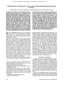 Heterogeneity in Filamentous Actin Content Among
