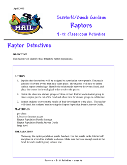 Raptors - Rackspace