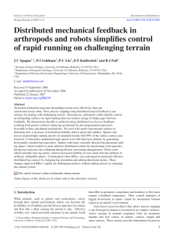 Distributed mechanical feedback in arthropods and