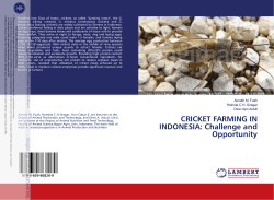 CRICKET FARMING IN INDONESIA: Challenge