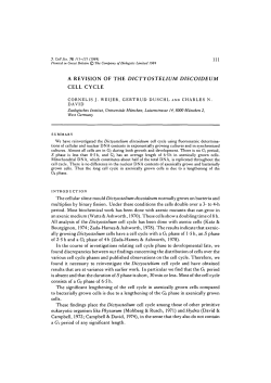 A REVISION OF THE DICTYOSTELIUM DISCOIDEUM CELL CYCLE