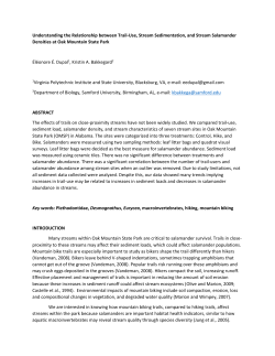 Understanding the Relationship between Trail