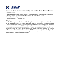 31762100226917 - ScholarWorks