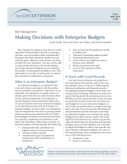 Making Decisions with Enterprise Budgets