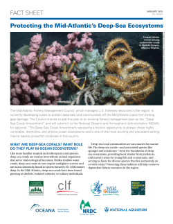 NRDC: Protecting the Mid-Atlantic`s Deep