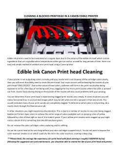 Edible Ink Canon Print head Cleaning