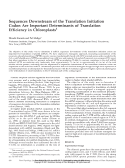 Sequences Downstream of the Translation Initiation Codon Are