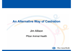An Alternative Way of Castration