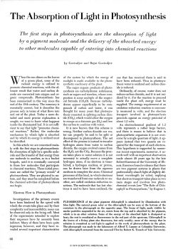The Absorption of Light in Photosynthesis