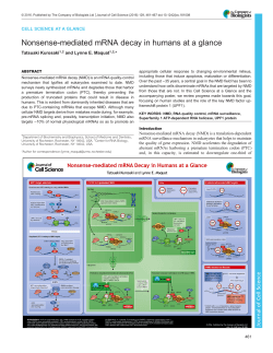 Nonsense-mediated mRNA decay in humans at a glance