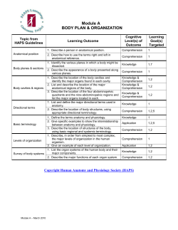 Body Plan and Organization