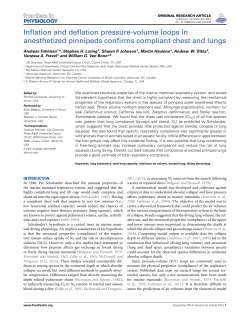 Inflation and deflation pressure-volume loops in anesthetized