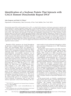 Identification of a Soybean Protein That Interacts