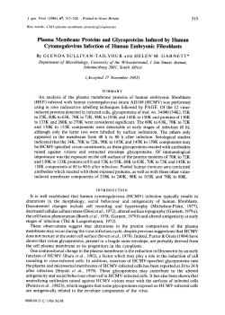 Plasma Membrane Proteins and Glycoproteins Induced by Human