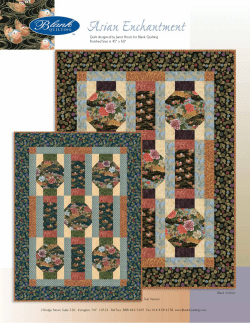 Quilt designed by Janet Houts for Blank Quilting Finished Size is 45