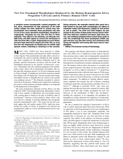 Two New Pseudopod Morphologies Displayed by the Human