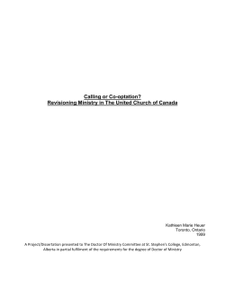 Calling or Co-optation? Revisioning Ministry in The United