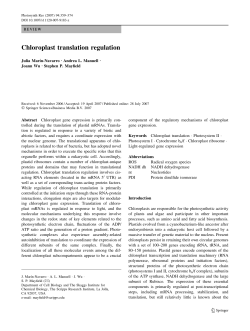 Chloroplast translation regulation - Horticultural Sciences Department