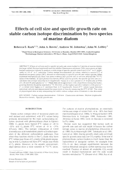 Effects of cell size and specific growth rate on stable carbon isotope