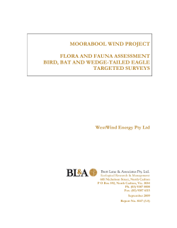 moorabool wind project flora and fauna assessment bird, bat and