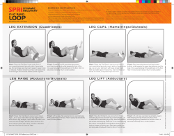 FLAT BAND LEG EXTENSION - Fitness 4 Home Superstore