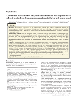 Comparison between active and passive immunization