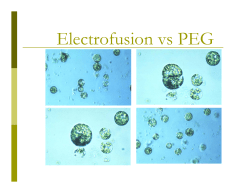 Electrofusion vs PEG