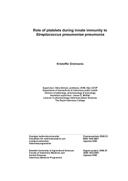 Role of platelets during innate immunity to Streptococcus