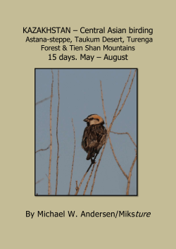 KAZAKHSTAN – Central Asian birding 15 days. May – August By