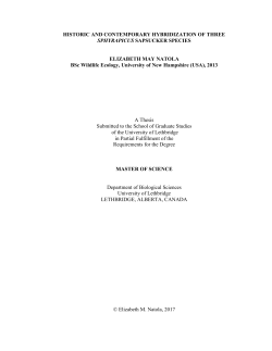 HISTORIC AND CONTEMPORARY HYBRIDIZATION OF THREE