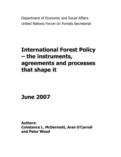 International Forest Policy – the instruments, agreements and