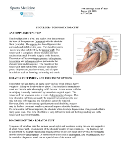 Rotator Cuff rehab Protocol