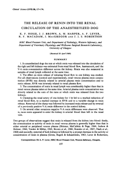 The Release of Renin into the Renal Circulation of