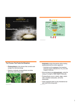 Chapter 10 - HCC Learning Web