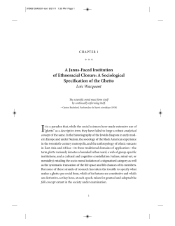 A Janus-Faced Institution of Ethnoracial Closure: A Sociological