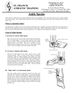 Ankle Sprain - chesser.biz
